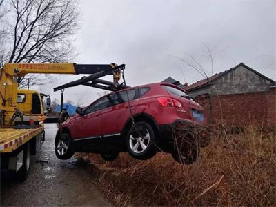 桂阳楚雄道路救援